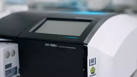 Dissolution Online System 2026